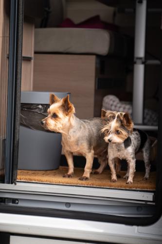 BBQ-Festival-2024-1-of-1-94