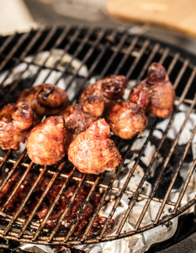 BBQ EMM (faetoni võidutöö broiler 1 of 1)-43